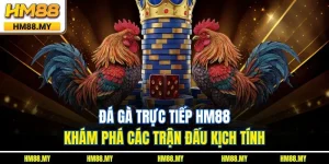 Đá Gà Trực Tiếp HM88 - Khám Phá Các Trận Đấu Kịch Tính