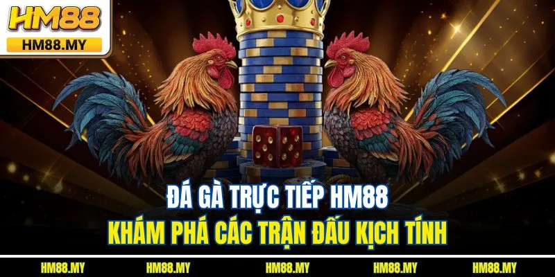 Đá Gà Trực Tiếp HM88 - Khám Phá Các Trận Đấu Kịch Tính