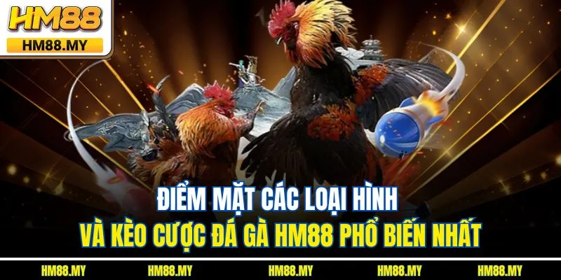 Điểm mặt các loại hình và kèo cược đá gà HM88 phổ biến nhất Điểm mặt các loại hình và kèo cược đá gà HM88 phổ biến nhất