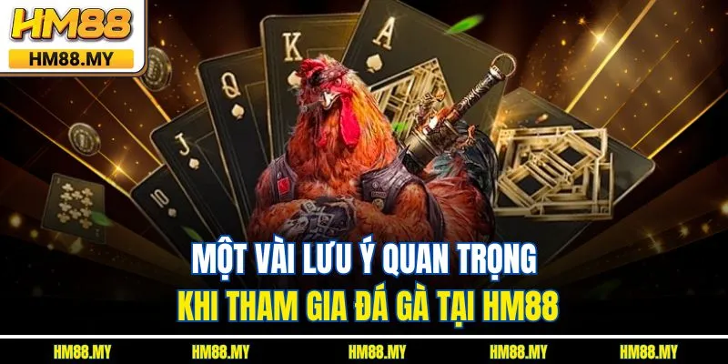 Một vài lưu ý quan trọng khi tham gia đá gà tại HM88 Một vài lưu ý quan trọng khi tham gia đá gà tại HM88