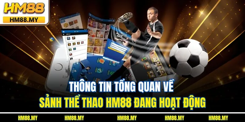 Thông tin tổng quan về sảnh thể thao HM88 đang hoạt động Thông tin tổng quan về sảnh thể thao HM88 đang hoạt động
