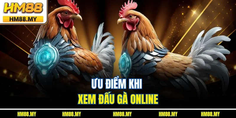 Ưu điểm khi xem đấu gà online Ưu điểm khi xem đấu gà online